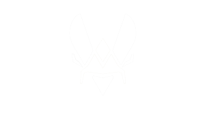 vitality-300x200